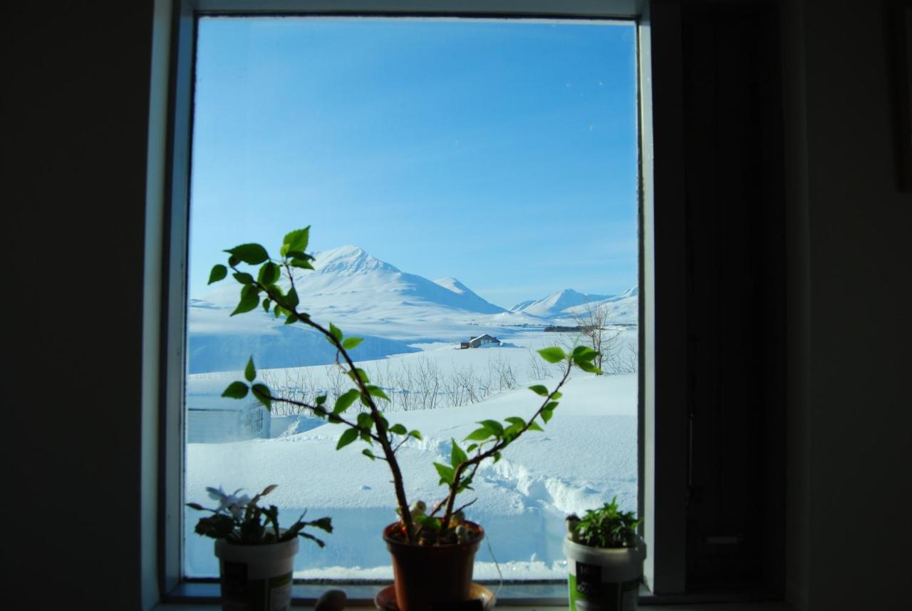 L&L Bnb - Stay'In Arbakki Arskogssandur Екстер'єр фото